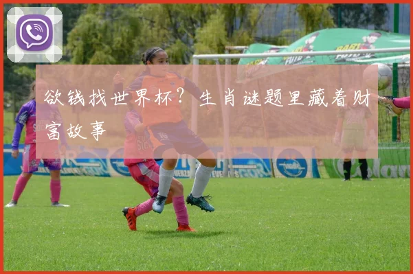 欲钱找世界杯?生肖谜题里藏着财富故事