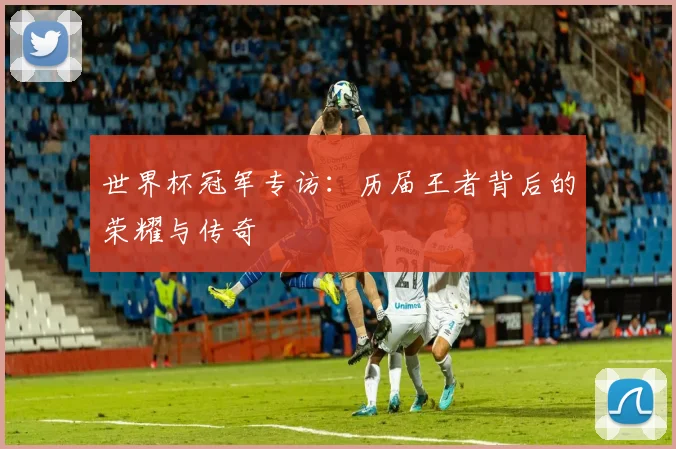 世界杯冠军专访：历届王者背后的荣耀与传奇