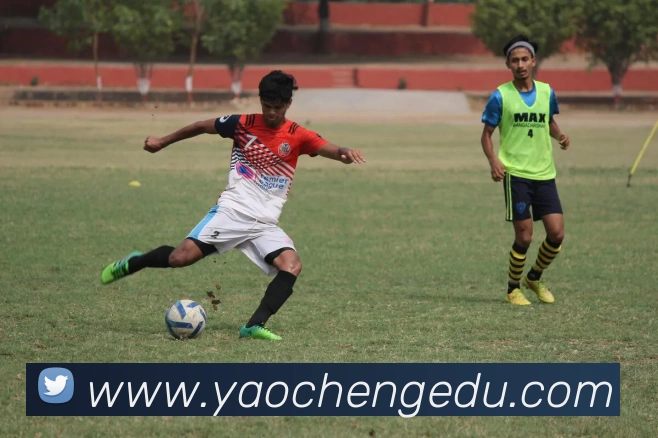 大阳城手机版官方网站平台生态图