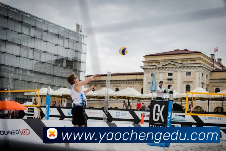 大阳城手机版官方网站APP 封面图